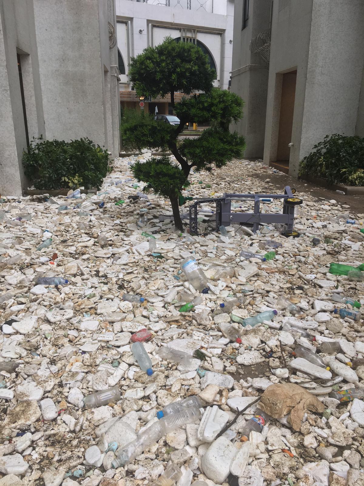 Hong Kong must learn from the best in fight against plastic pollution